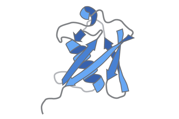 NAVIGO Ubiquitin Neu 1