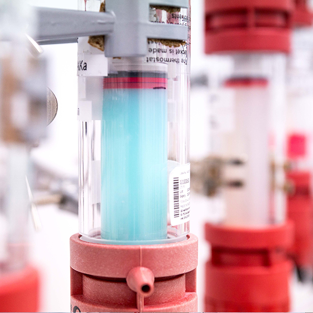 Fototest Quadrat Basis 614x614 2