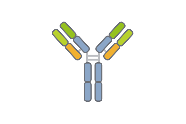 NAVIGO Protein Aenean Leo2 400x600px