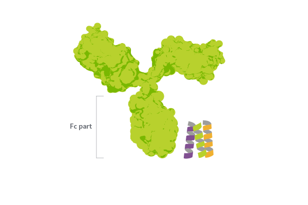 NAVIGO Protein A Binding Converted 01