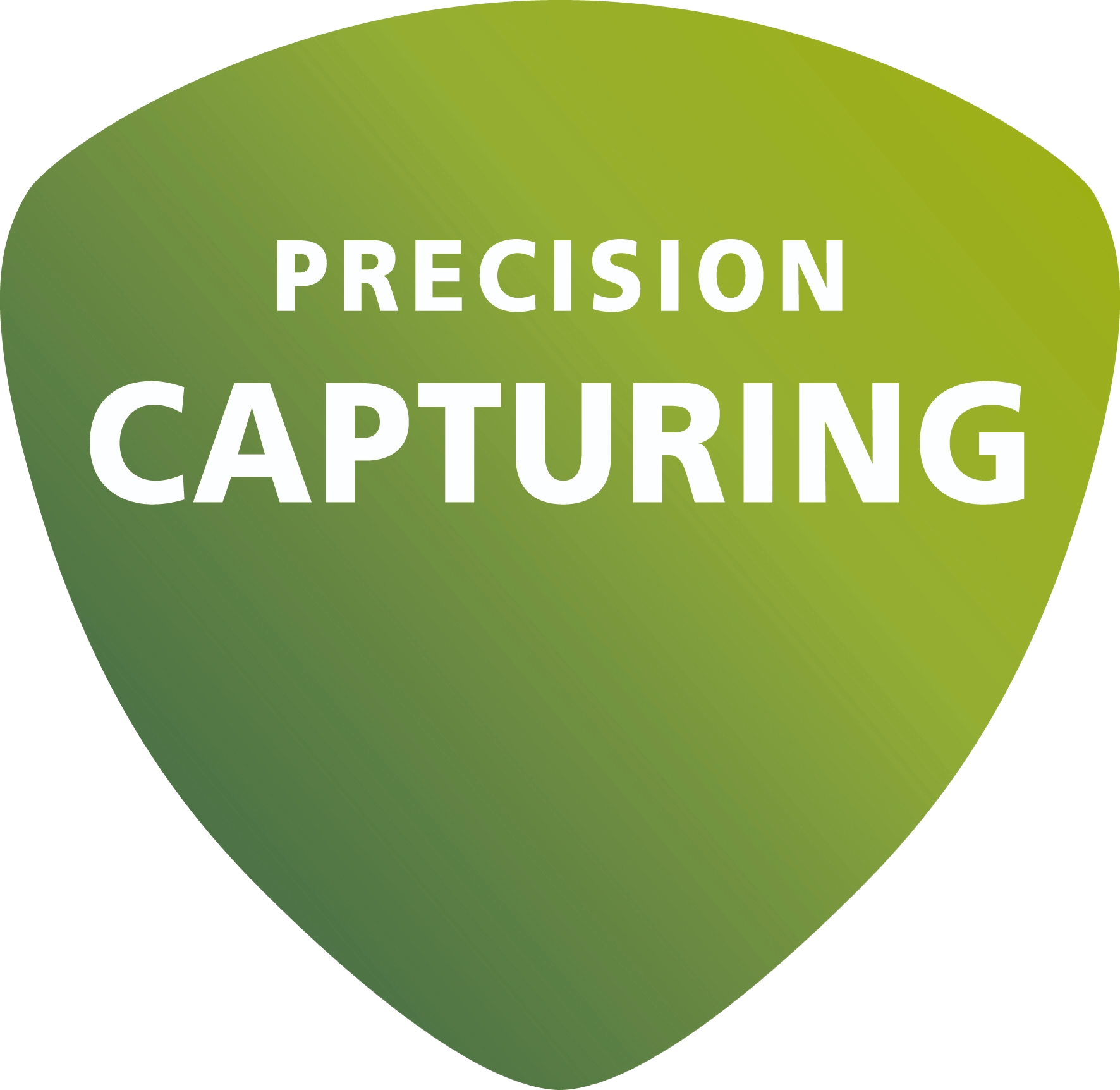 Label Precision Capturing 1 Neu