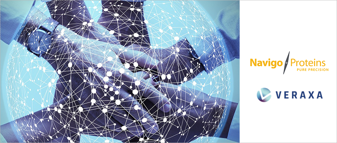 Navigo Proteins and VERAXA Biotech Initiate Research Collaboration to Establish Pre-Targeting Strategies for Novel Affilin® Radio Conjugates