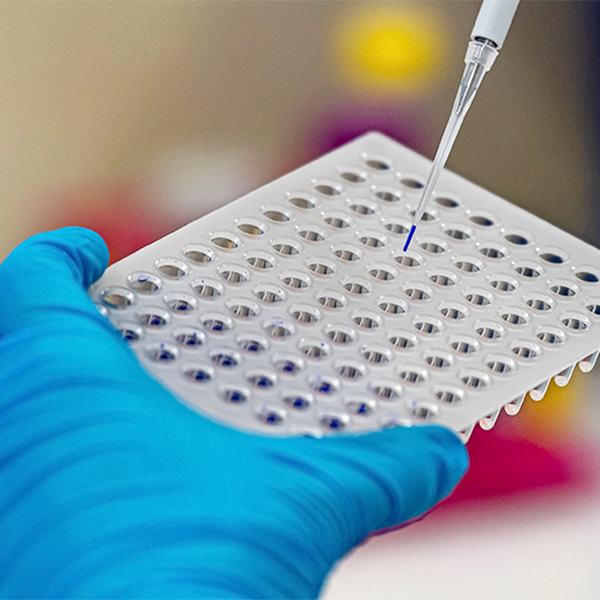 Foto Quadrat Basis 600x600 09